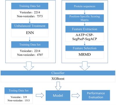 VTP-Identifier: Vesicular Transport Proteins Identification Based on PSSM Profiles and XGBoost